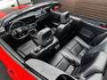Ford Mustang 2.3 EcoBoost 317 Cv Dark Horse Rot - thumbnail 25