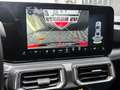 Ford Mustang 2.3 EcoBoost 317 Cv Dark Horse Rot - thumbnail 20