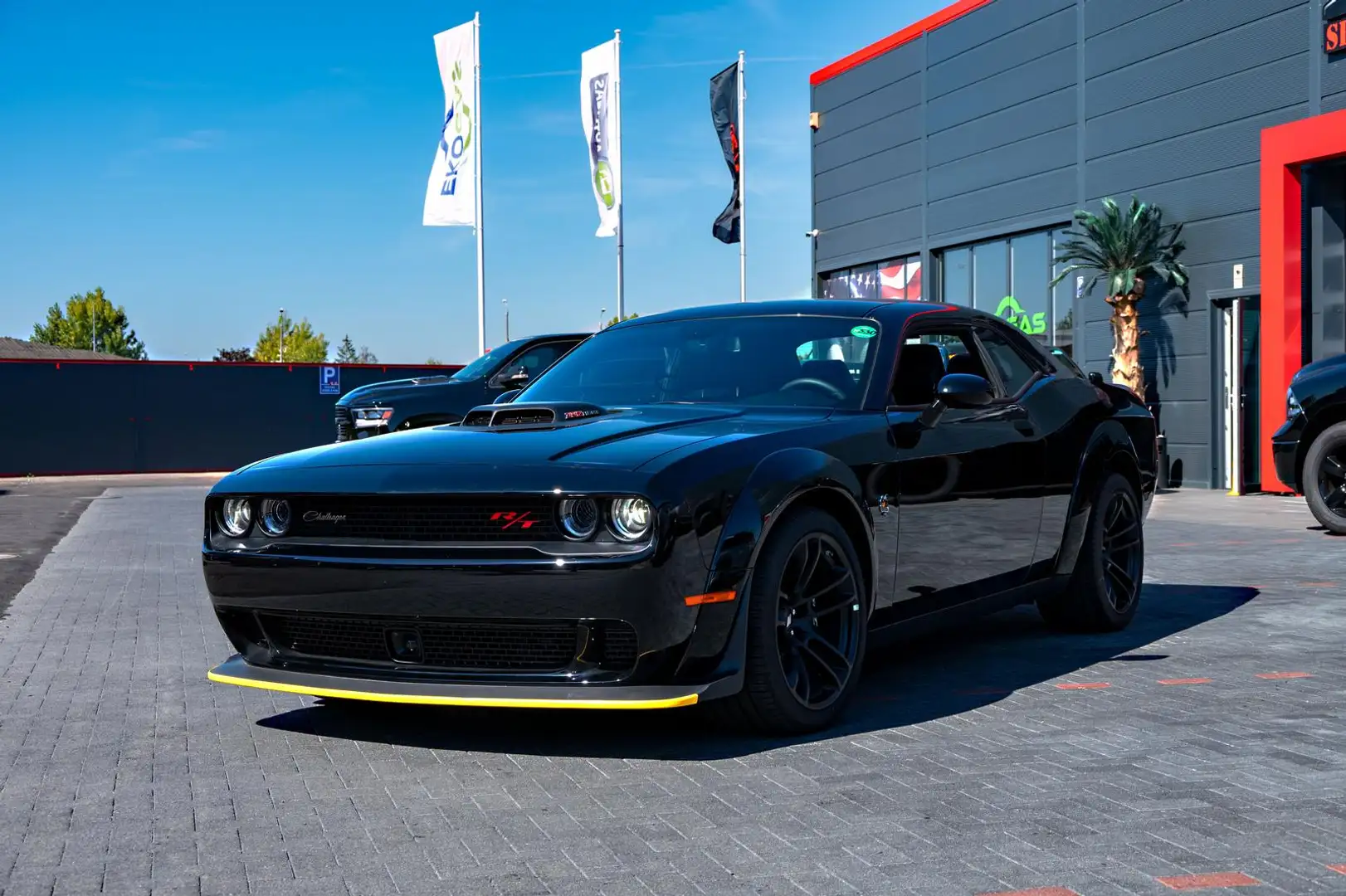 Dodge Challenger Scatpack WB Shaker 6,4l Last Call Negro - 2