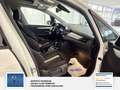 BMW 218 d Advantage 2 Hand, Panoramadach, Tempomat, Servic Weiß - thumbnail 12