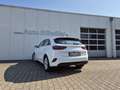 Kia Ceed / cee'd Ceed 5-Türer 1.5 T-GDI (140 PS) ISG Vision Komfort Weiß - thumbnail 5