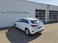 Kia Ceed / cee'd Ceed 5-Türer 1.5 T-GDI (140 PS) ISG Vision Komfort Weiß - thumbnail 4
