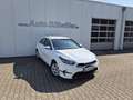 Kia Ceed / cee'd Ceed 5-Türer 1.5 T-GDI (140 PS) ISG Vision Komfort Weiß - thumbnail 1