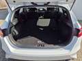 Kia Ceed / cee'd Ceed 5-Türer 1.5 T-GDI (140 PS) ISG Vision Komfort Weiß - thumbnail 14