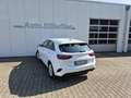 Kia Ceed / cee'd Ceed 5-Türer 1.5 T-GDI (140 PS) ISG Vision Komfort Weiß - thumbnail 6
