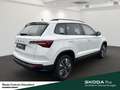 Skoda Karoq Tour TSI DSG Standheizung Ausstattungs-Paket: Park Blanc - thumbnail 5