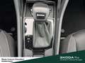 Skoda Karoq Tour TSI DSG Standheizung Ausstattungs-Paket: Park Blanc - thumbnail 22
