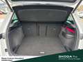 Skoda Karoq Tour TSI DSG Standheizung Ausstattungs-Paket: Park Blanc - thumbnail 13