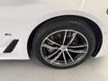 BMW 530 d xDrive Weiß - thumbnail 18