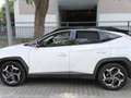Hyundai TUCSON 1.6 TGDI 169kW HEV Tecno Auto 2C Blanco - thumbnail 8