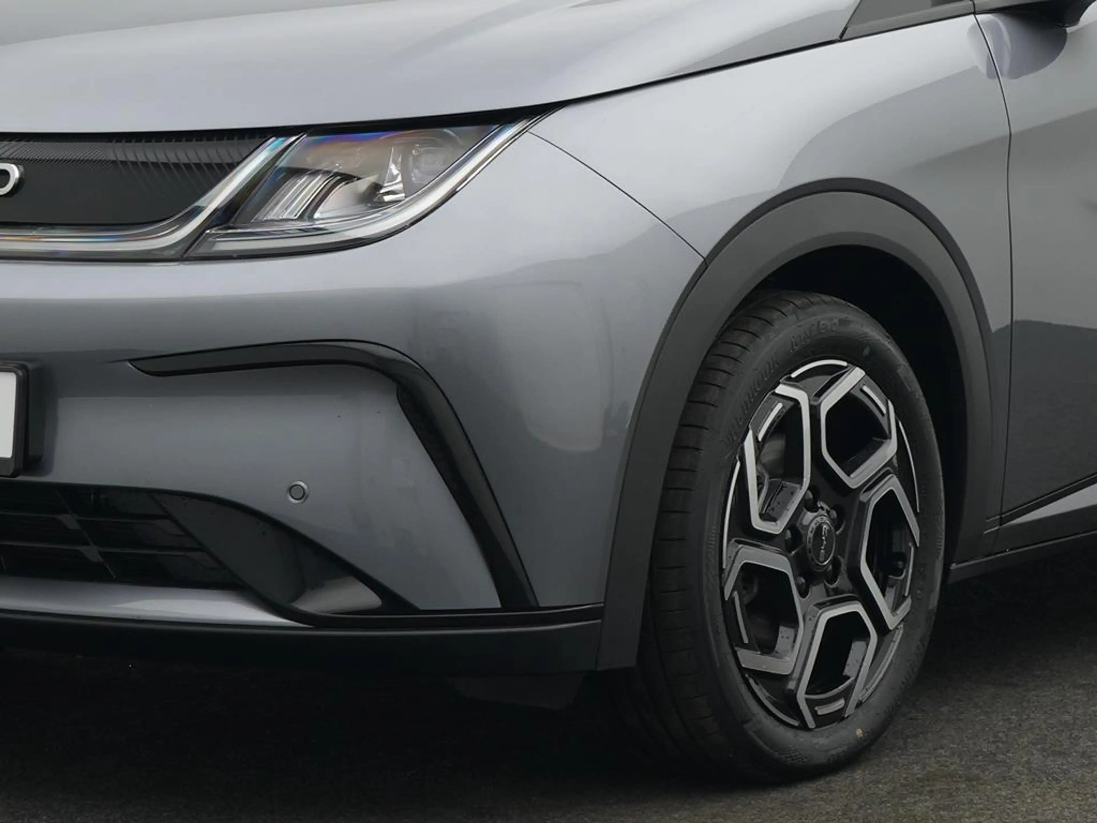 BYD Dolphin DMS Comfort — photo 9