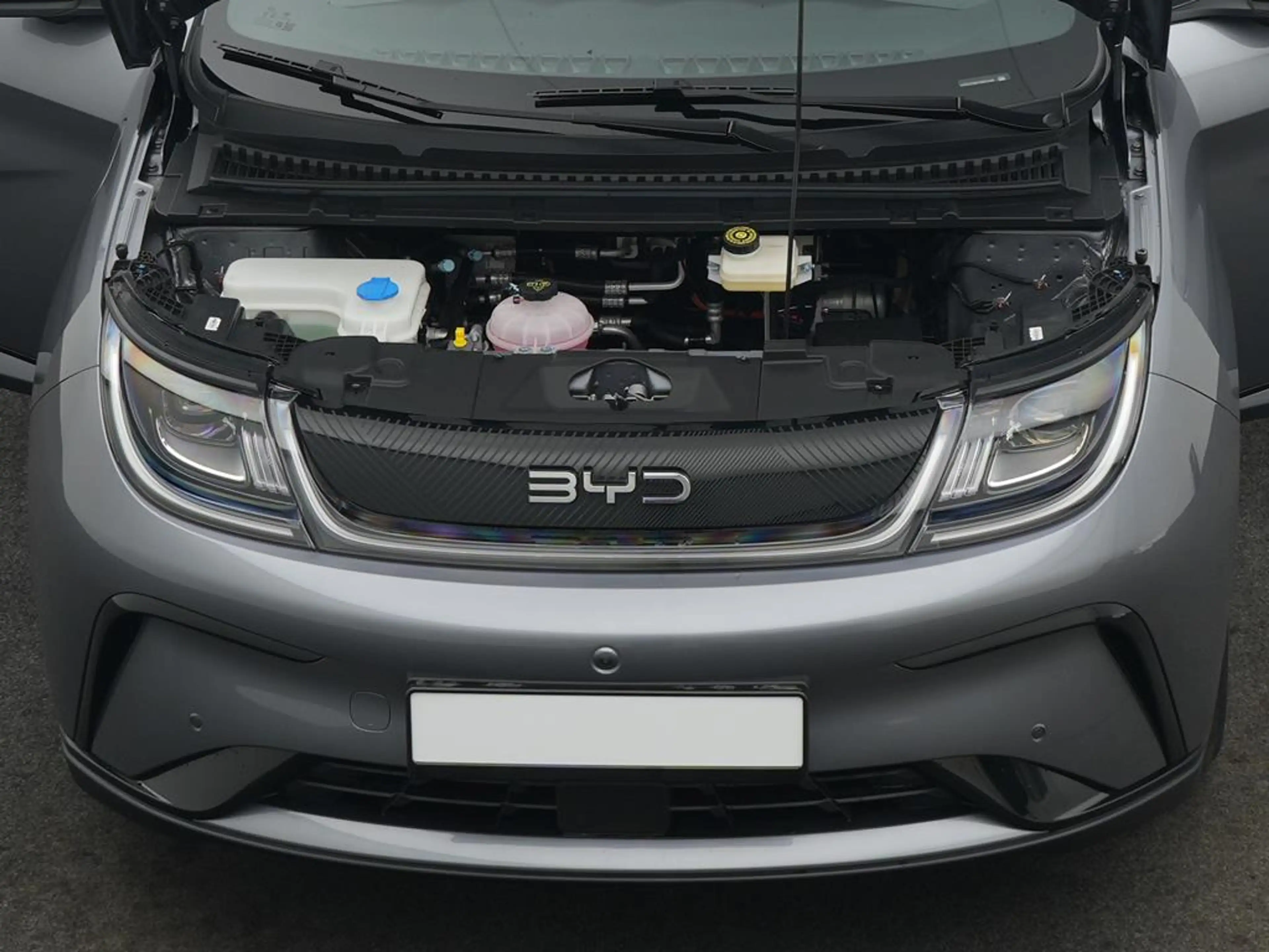 BYD Dolphin DMS Comfort — photo 6