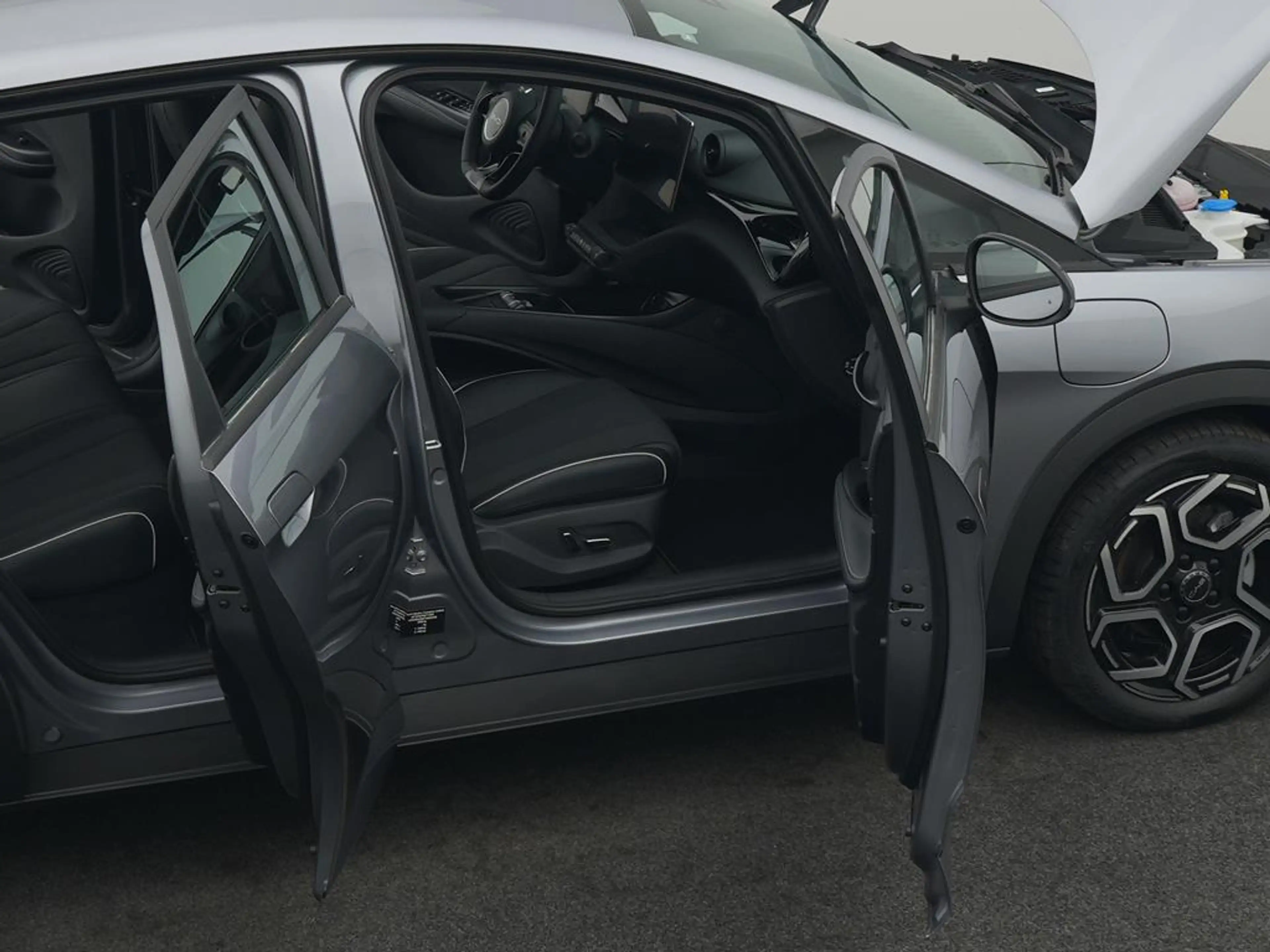 BYD Dolphin DMS Comfort — photo 11