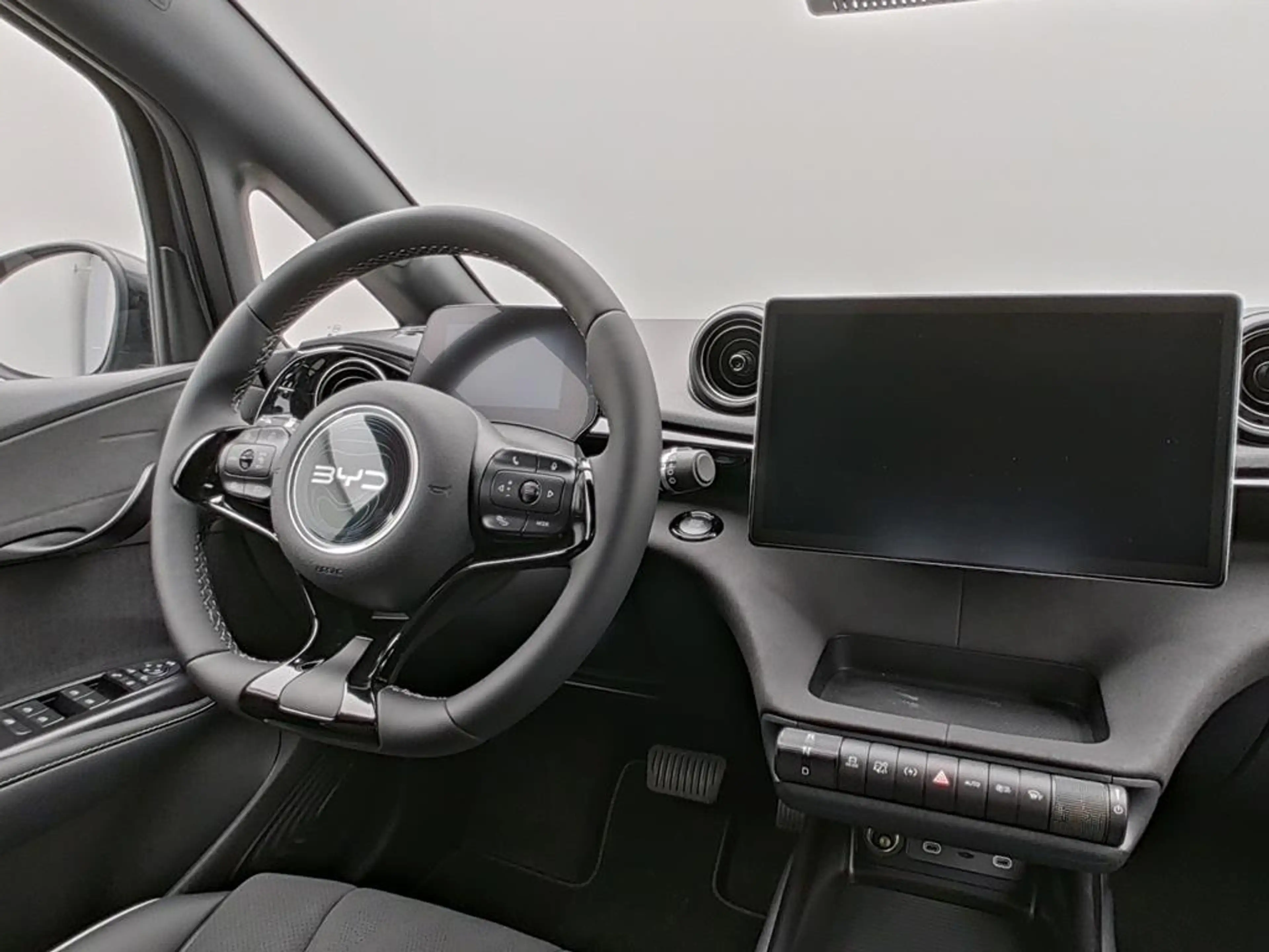 BYD Dolphin DMS Comfort — photo 12