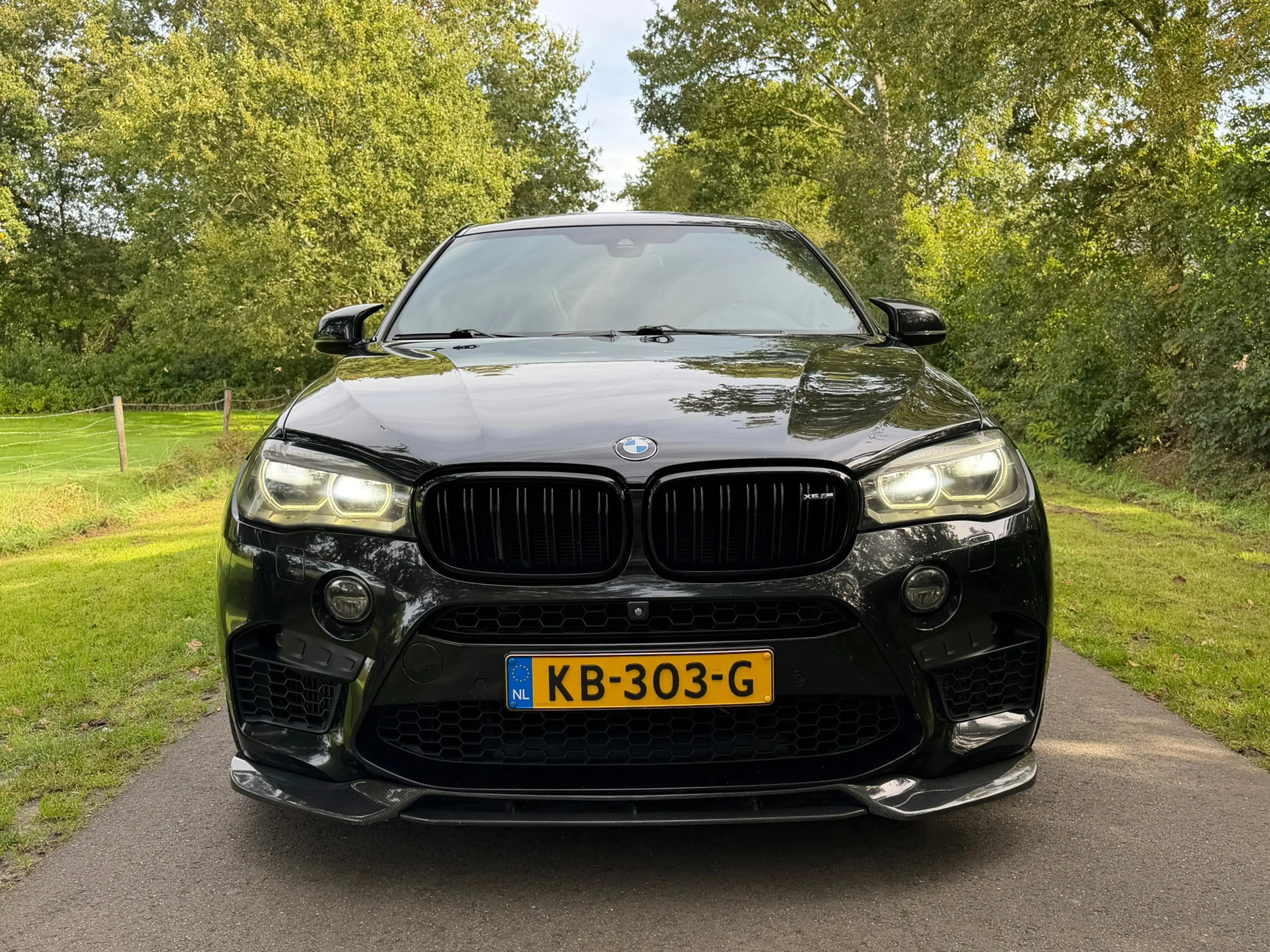 BMW X6 M | Carbon | H&K | Schuifdak | Memory | Hud | 22" in — photo 8