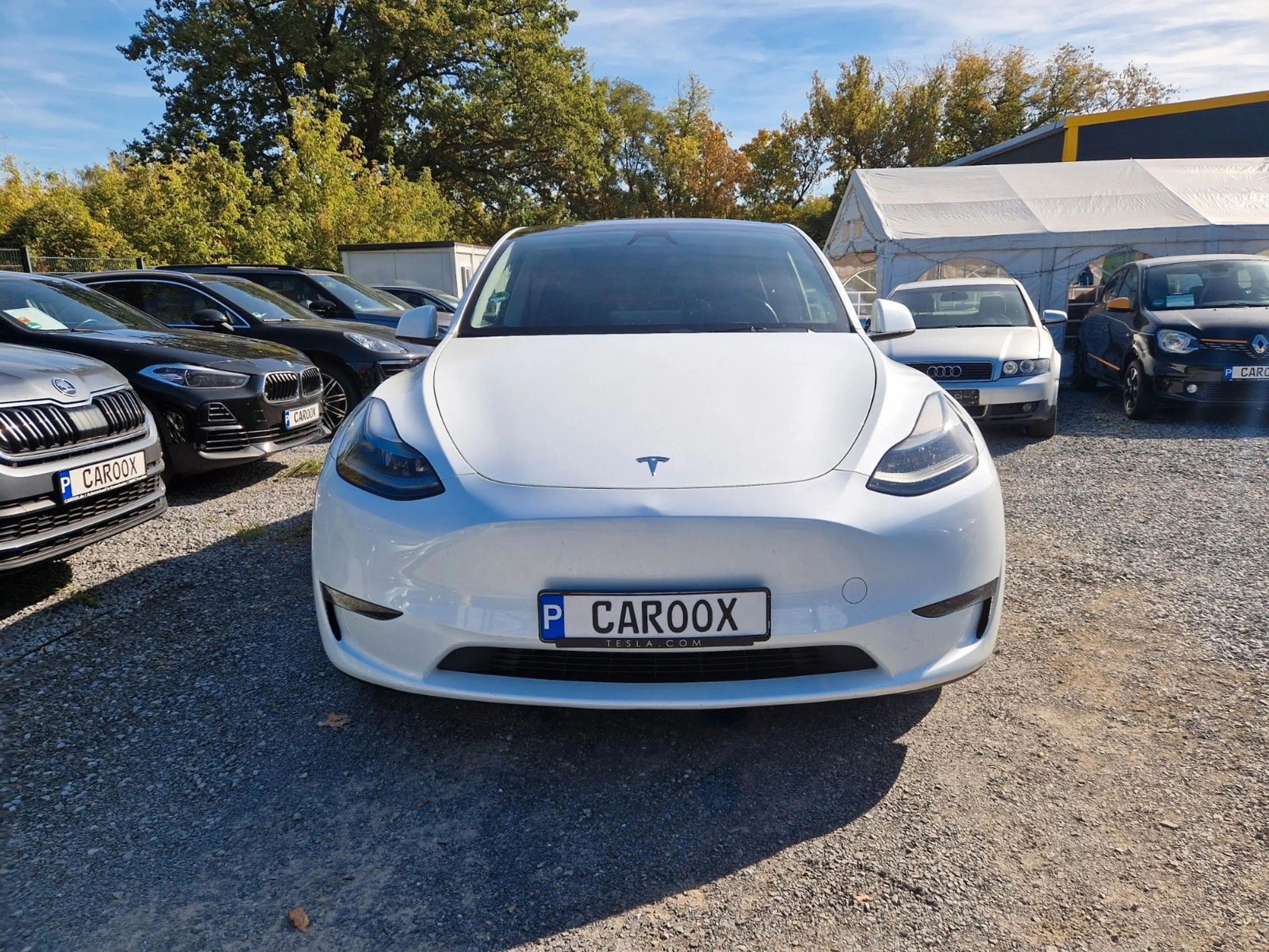 Tesla Model Y Long Range Dual Motor AWD — photo 4
