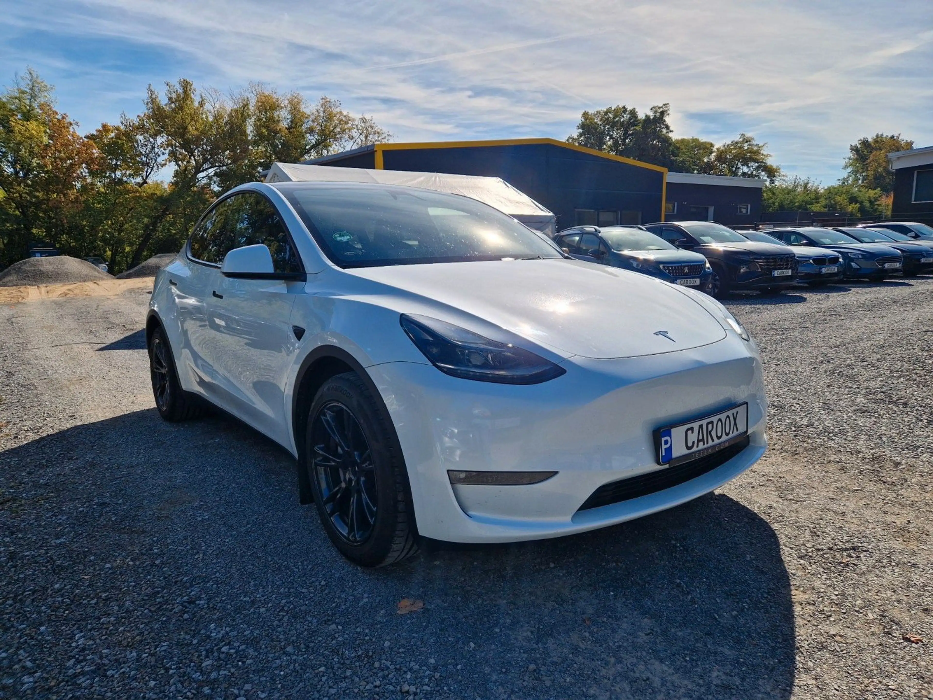 Tesla Model Y Long Range Dual Motor AWD — photo 5