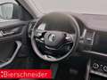 Skoda Kodiaq 1.5 TSI DSG Ambition Tour AHK KAMERA NAVI Grau - thumbnail 13