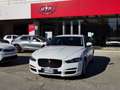 Jaguar XE 2.0 D 180 CV aut. Prestige Bianco - thumbnail 3