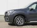 Subaru Forester 2.0i e-BOXER Luxury | Navi | Carplay/Android Auto Gris - thumbnail 9
