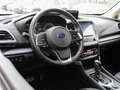 Subaru Forester 2.0i e-BOXER Luxury | Navi | Carplay/Android Auto Gris - thumbnail 10