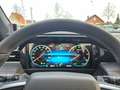 Foton 4 Ultra Mild Hybrid 4x4  360° LED ACC SHZ Grün - thumbnail 19
