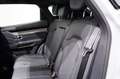 Sportequipe Sportequipe 6 GT 1.6 T-GDI 186cv GPL DCT Grau - thumbnail 24