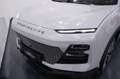 Sportequipe Sportequipe 6 GT 1.6 T-GDI 186cv GPL DCT Grau - thumbnail 28