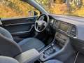 SEAT Ateca Ateca 1.6 tdi Business dsg Nero - thumbnail 13