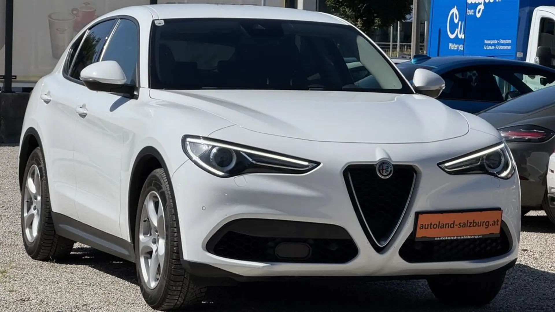 Alfa Romeo Stelvio Business *AHK* PDC *Adaptive Cruise Contr. Weiß - 1