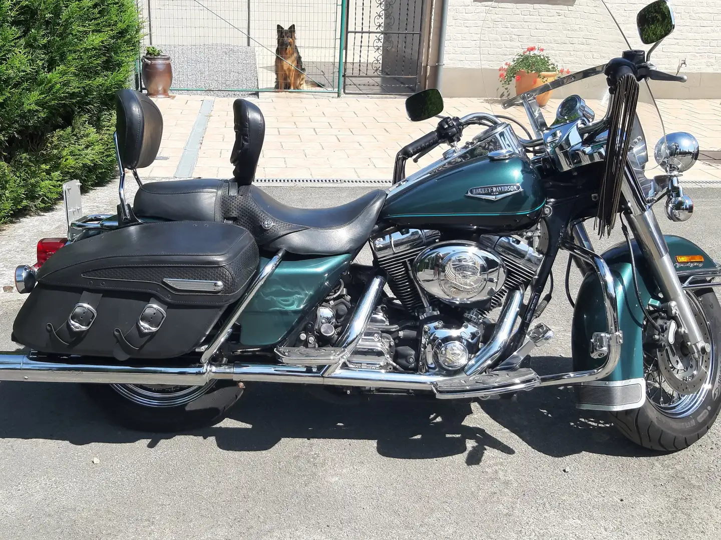 Harley-Davidson Road King FLHRCI Groen - 1