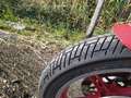 Moto Guzzi V 75 750 Targa - Prezzo trattabile Rosso - thumbnail 6