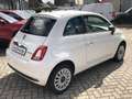 Fiat 500 MY23 1.0 Klimaalage Radio Weiß - thumbnail 4
