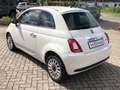 Fiat 500 MY23 1.0 Klimaalage Radio Weiß - thumbnail 5