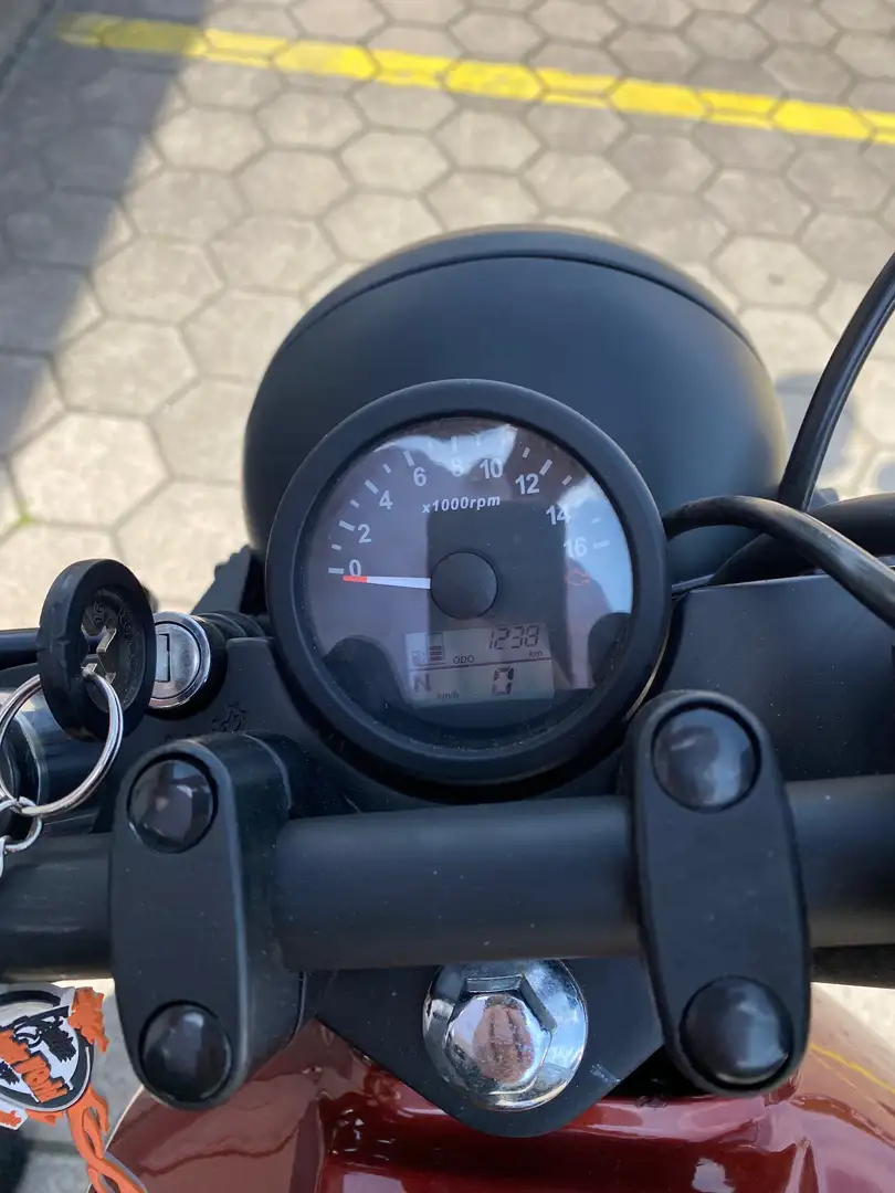 Brixton Cromwell 250 Oranje - 2