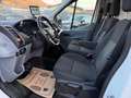 Ford Transit 290 L2H2 Trend 2,0 TDCi Finanzierung möglich Weiß - thumbnail 17