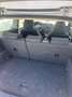 Volkswagen Polo Trendline Grau - thumbnail 4