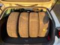 Volkswagen Golf Variant 1.5 TSI ACT OPF DSG Join Weiß - thumbnail 5