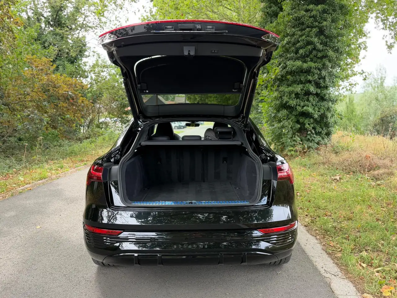 Audi Q8 Sportback e-Tron 55 Quattro Competition, миниатюра 27