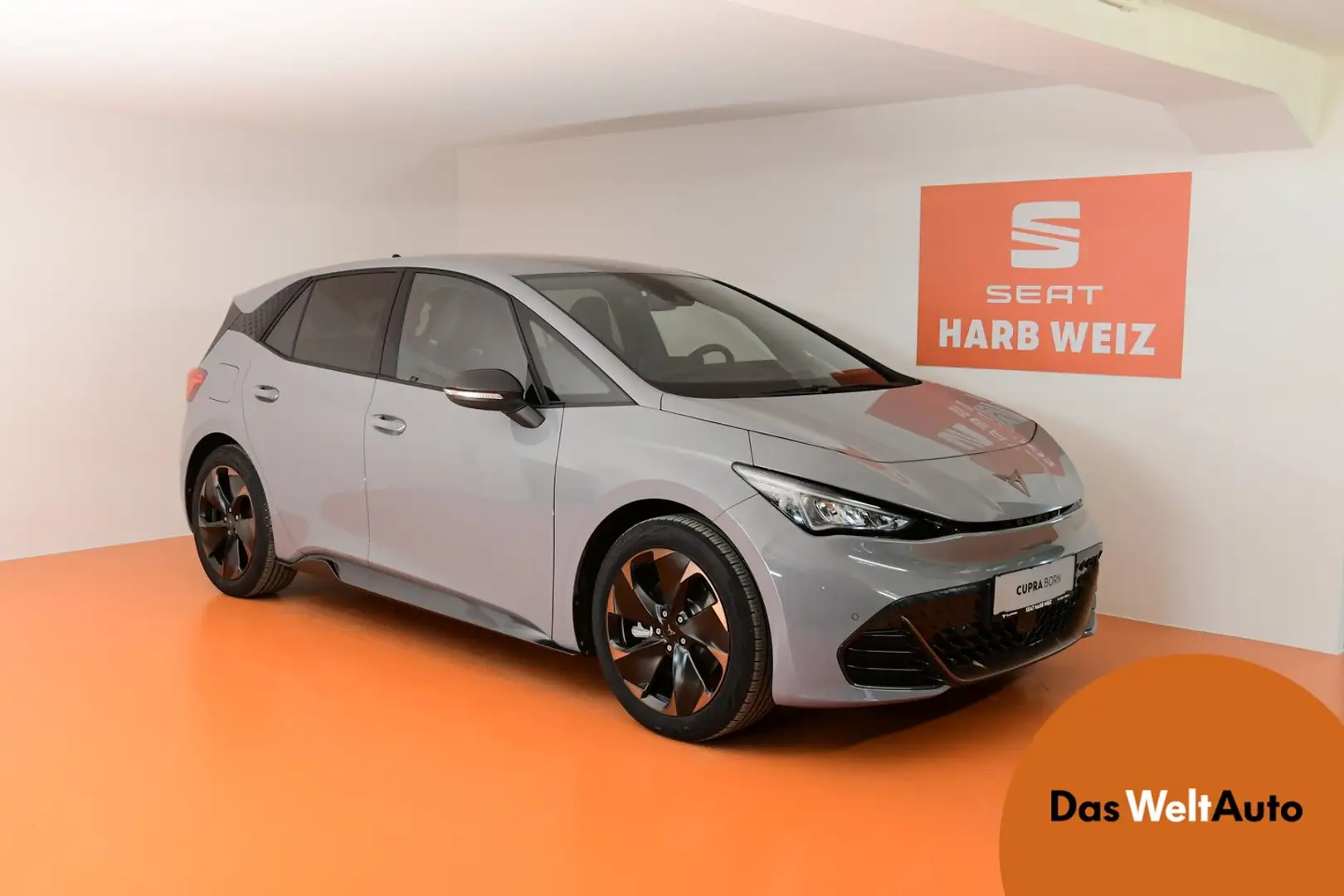 SEAT Alpha 58 150kW/204PS Gri - 1
