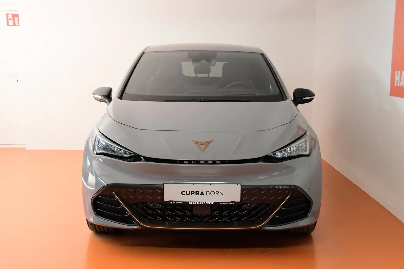 SEAT Alpha 58 150kW/204PS Gri - 2