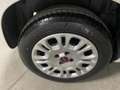 Fiat Panda 1.3 MJT 95 CV S&S Lounge Weiß - thumbnail 8