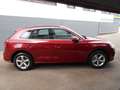 Audi Q5 40 TDI quattro design S-Line, Leder Rot - thumbnail 5