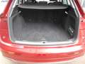 Audi Q5 40 TDI quattro design S-Line, Leder Rot - thumbnail 13
