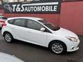 Ford Focus Sync Edition -Klima-SHZ-PDC-Bluetooth- Blanc - thumbnail 10