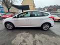 Ford Focus Sync Edition -Klima-SHZ-PDC-Bluetooth- Blanc - thumbnail 5