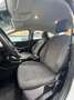 Ford Focus Sync Edition -Klima-SHZ-PDC-Bluetooth- Blanc - thumbnail 12