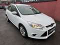 Ford Focus Sync Edition -Klima-SHZ-PDC-Bluetooth- Blanc - thumbnail 2