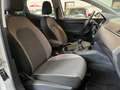 SEAT Ibiza Ibiza 1.0 80 ch S/S BVM5 Urban Blanc - thumbnail 16