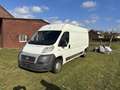 Fiat Ducato 130 (Rs: 4035 mm H:2,5m) L4 Weiß - thumbnail 6